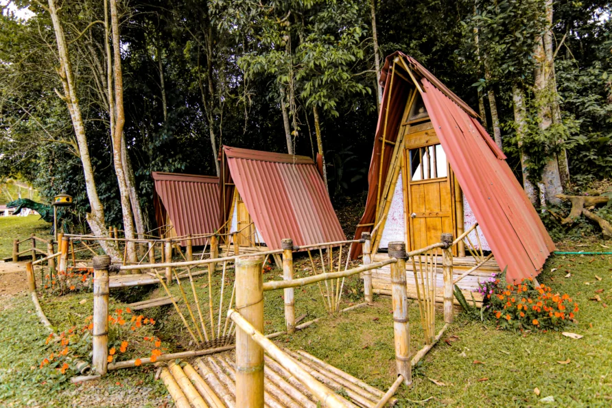 Cabañas ecológicas Monarca