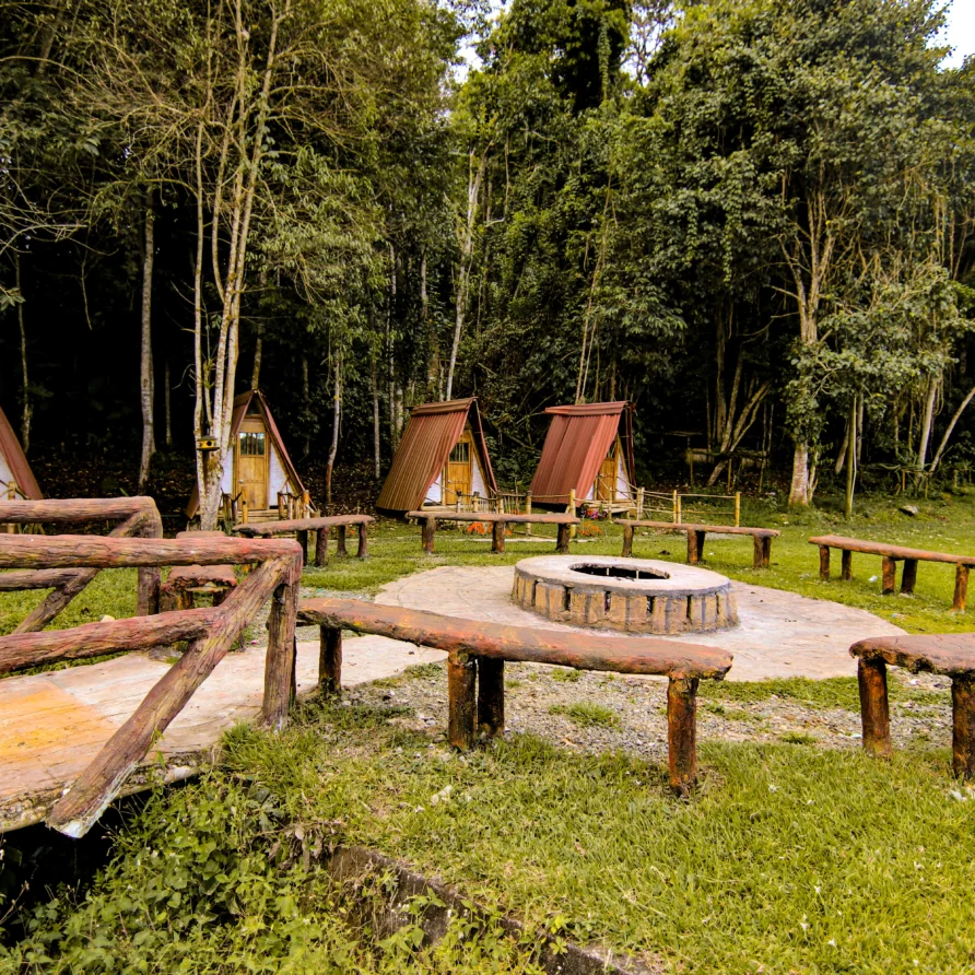 Cabaña Monarca de Calima