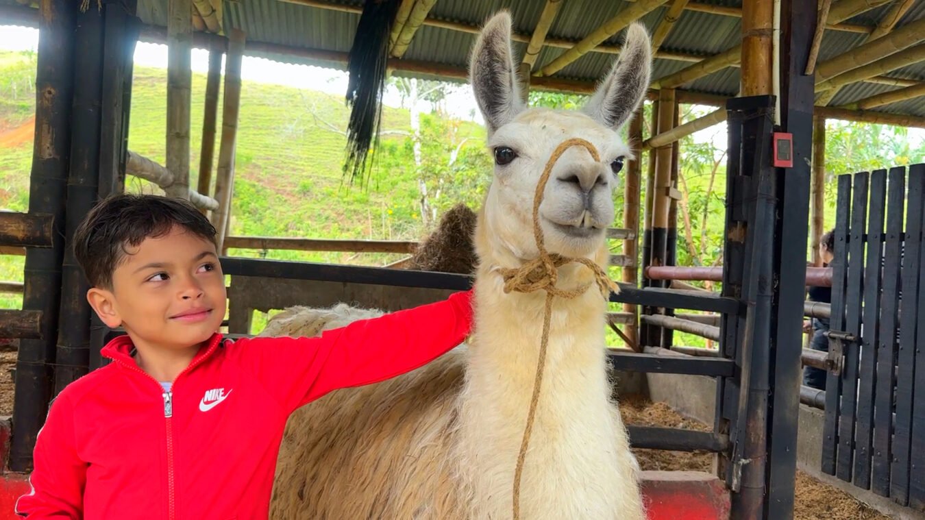 conectar con la naturaleza y los animales