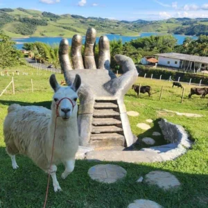 mano del monarca