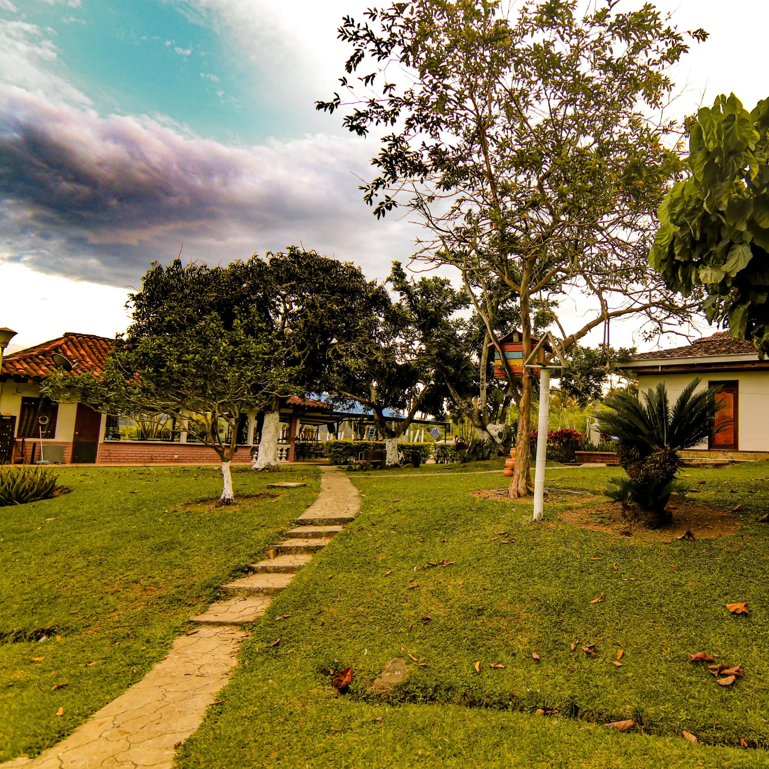 Nosotros 3 monarca de calima